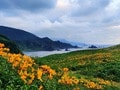 国内で見られるのは2か所だけ！  佐渡島「トビシマカンゾウ」大群落＆「世界遺産」目指す名所とは？  1泊2日「大野亀ツーリング」レポの画像003