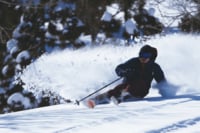 【シャルマン火打・新潟県】非圧雪コース率は驚異の65％！ パウダーを楽しむためにある豪雪天国