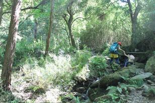 標高461ｍ低山でも「富士山＆霞ヶ浦」の大展望OK「宝篋山」 ひろびろ山頂＆飽きない登山道！  絶景ファミリーハイキングレポ【茨城県つくば市】