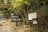 “行きは登山、帰りはロープウェイで！”　紅葉シーズンの「御在所岳」登山レポート「中登山道」 【三重県】 2024年の画像001
