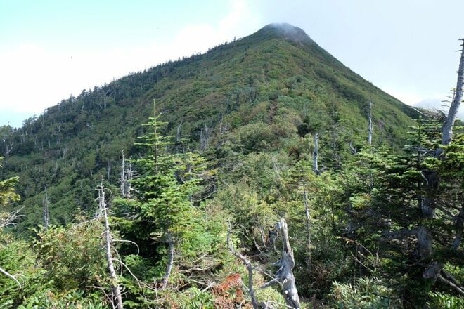 【山頂から景色が一変する百名山】絶景の稜線歩きが待つ「もうひとつのホタカ」への画像007