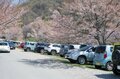 【こんな贅沢な山は他にない！】お花見ハイキングの名所「光城山」のお出かけ前に押さえるべきポイント解説の画像017