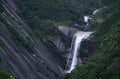 【世界自然遺産・屋久島】 屋久島をレンタカーで一周するドライブ旅「千尋の滝・大川の滝・ガジュマル・西部林道」を一日でめぐる！の画像021