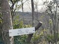 室町時代の謂れが残る大阪近郊日帰りハイキングルート「星田古道」裏山新緑トレイルの魅力【里山アドベンチャー！ソトアソ日和 vol.10】の画像011