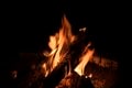 連休前に知りたい！「薪 vs 炭」BBQ料理に向いているのはどっち？【焚き火の話vol.30】の画像002