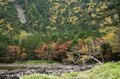 【紅葉狙いで登るなら今週末が狙い目？】「北八ヶ岳＆双子池」紅葉状況最新レポート＜2023年10月上旬＞の画像002