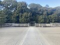 春の陽気に誘われて、伏見港公園から観月橋駅まで宇治川河川敷をテクテク歩き【京阪電鉄宇治線（その2）関西鉄道路線周辺曼荼羅 vol.32】の画像008