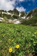 「木曽駒ヶ岳」中央アルプス最高峰！ 氷河期に形成された雄大な“千畳敷カール”は高山植物の宝庫【首都圏発！週末に行ける百名山ガイド vol.11】の画像001