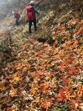 【山岳遭難しないために】秋登山に行く前のリマインド 「体感温度はすぐに氷点下！」 山梨県｜2026年の画像003