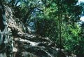 若者のあいだでブーム再燃！？ 「レンズ付きフィルム」 高尾山ハイキングで使ってみて分かった “懐かしくて新しい” 山写真の楽しみ方の画像005