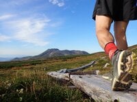 「紅葉の大雪山から十勝連峰の山々を一日で」トレランスタイルで駆け抜ける！ 北海道最長縦走路の全貌 【前編】