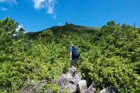 【首都圏近郊おすすめルート】金峰山へと続く幻の古道「御嶽道」が想像以上に素晴らしい！  実地踏査レポート