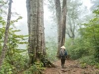 「新ルート通行可能です 」紅葉シーズン直前！ 「秋山は特に人気！」日本百名山・雨飾山の登山道整備  2022年9月【妙高戸隠連山国立公園】