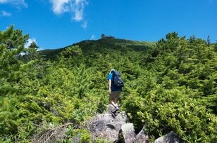 【首都圏近郊おすすめルート】金峰山へと続く幻の古道「御嶽道」が想像以上に素晴らしい！  実地踏査レポート