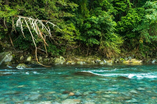 「10月に入ったけれど…… まだ渓流釣りができる自然河川」 秋の気配漂う静岡・芝川でフライフィッシング！ 美しいアマゴと銀ピカのニジマスに出会うの画像004