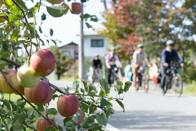 日本一長い川「信濃川水系の千曲川」 サイクリングとラフティング＆カヌーで流域の魅力を再発見！ ツアー体験記【長野県・東北信エリア】の画像018