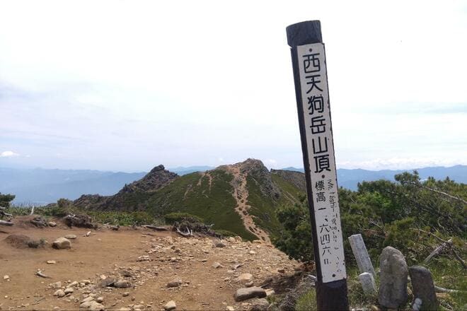 “八ヶ岳らしさ” 満喫する「天狗岳ハイキング」 歩きはじめの深い森からは予想もつかない「絶景の山頂エリア」・秘湯「唐沢鉱泉」もハズせない日帰りコースの画像004
