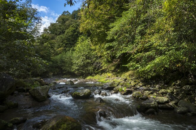 【渓流釣り】ついにこの日がやってきた！  東奔西走「最終日の渓流でフライを忘れて右往左往」 長野県・2025年の画像001