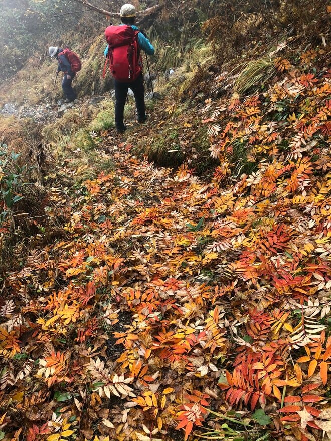 【山岳遭難しないために】秋登山に行く前のリマインド 「体感温度はすぐに氷点下！」 山梨県｜2026年の画像003