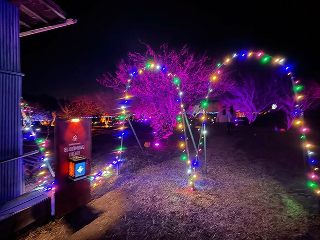 いよいよ見ごろ！ “春の目覚め”迎える「秋間梅林」での観梅体験！  2月28日から「食べ歩きチケット」販売開始＆幻想的「週末ナイトウォーク」も開催中【群馬県安中市】の画像006