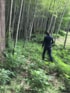 菅田 真夏