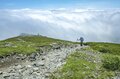 【日本百名山】日本のエーデルワイス！ 雲海の上で輝くハヤチネウスユキソウ「花づくし！ みちのくの名峰・早池峰山」岩手県／2022年の画像009