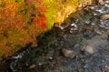 渓流釣りと紅葉狩りのコラボ！ 限りなく自然に近い管理釣り場・吉ヶ平フィッシングパーク【新潟県三条市・2023年】の画像004