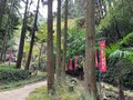 12年に一度「辰年にしか見れないお宝」を拝観。大阪近郊冬ハイキング満喫ルート【里山アドベンチャー！ソトアソ日和 vol.13】の画像012