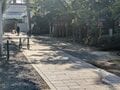 鶏がフリーダムに闊歩する神社「助松神社」のおみくじはやさしい友達の助言のようだった【関西おみくじジャーニー vol.28／大阪府泉大津市】の画像014