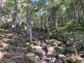 八ヶ岳・最南端に位置する「編笠山」で体験する、パノラマ絶景！  早出で見たい「雲海＆富士山のコラボ」も大当たりで大満足「登山レポ」の画像002