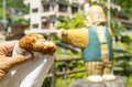 今春オープンしたばかりの “フライフィッシング優先区” へ！ さらに温泉街のキャッチ＆リリース区間も楽しむ釣り＆グルメ旅 「イワナ、ヤマメ、コロッケ、メンチカツ、ニジマス、そして温泉へ」 2024年6月・栃木県、男鹿川の画像007
