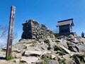 楽しいのは景色だけじゃない！  雪解けと共に始まる、高山植物の「開花ラッシュ」 登山に行くなら見なきゃ損する「高山植物」5選の画像005