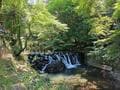 東京でいえば高尾山？  梅田から「電車で約30分」涼を求めてハイキングが楽しめる大阪定番アウトドアスポット「箕面公園」エリアレポートの画像003