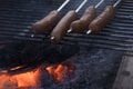 連休前に知りたい！「薪 vs 炭」BBQ料理に向いているのはどっち？【焚き火の話vol.30】の画像006