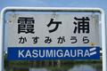 涼しい朝夕に狙いたい「テナガエビ」名産地・霞ヶ浦での湖岸つり！  3時間で釣果26匹＆仕込み一晩でも… 完食わずか1分！？  激ウマ唐揚げレポの画像001