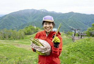 苗場スキー場の「タケノコ山」でタケノコ採り！ ＜新潟県＞