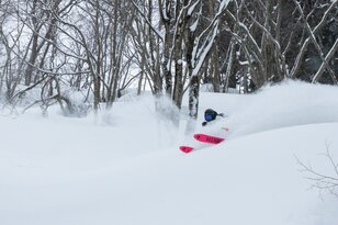 【湯沢中里スノーリゾート・新潟県】超絶ツリーラン環境もある「元祖駅前」ゲレンデ