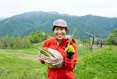 タケノコ山 タケノコ山（北海道） | YAMAP / ヤマップ