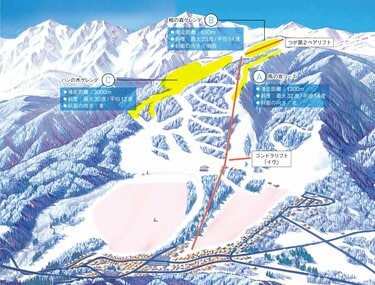 つがいけマウンテンリゾート】栂池に降る極上の雪「TSUGA POW」に魅了