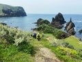 まるで「日本のアイルランド」？  島根県・隠岐諸島の2大絶景スポット「奇岩・絶壁の国賀海岸」と「赤ハゲ山」の「驚異のハイキング体験」の画像007