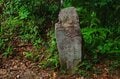 【熊野古道中辺路】じつはサブルートも楽しい！「中辺路」のおかわりコースを解説＜熊野古道の歩き方 vol.3＞の画像004