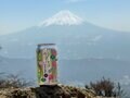 【ハイカー女子の一杯】 春ハイクで「雪頭ヶ岳」！  雄大な富士山に会いにいく “4杯目” 山梨県 2025年の画像006