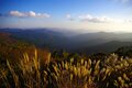 【まだ間に合う！晩秋の山歩き】紅葉終盤は落ち葉歩きで決まり「 駐車場から1時間以内の絶景」晩秋ハイク・東西2選【今日も山旅気分 vol.26】の画像003