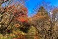 秋を彩る鮮やかな紅葉で人気！  シーズン中は20万人が訪れる「御在所岳」 裏登山道コースで往復「11月上旬・登山レポ」の画像009