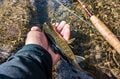 ３月１日解禁当日！ 春の訪れを感じる渓流釣りへ　姫川漁協 ＜長野県＞の画像008