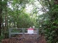 【『千と千尋』の「かま爺のモデル」も出没！】奄美大島の深部へ入り込む「カヌー＆トレッキングツアー」を疑似体験してみようの画像007