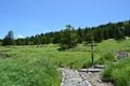 アクセス抜群！  神秘の苔むす森にたたずむ「白駒池」＜北八ヶ岳＞の画像002
