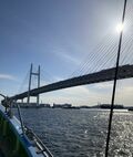【オフショア釣り】東京湾  夏の新風物詩！「船タコ釣り」解禁初日の釣行で秘密兵器「タコ釣りボール」も実戦投入の成果や如何に！？の画像008