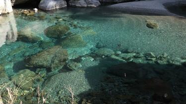 圧倒的な透明度の高知県「仁淀川」！ 細田守監督作品『竜とそばかすの