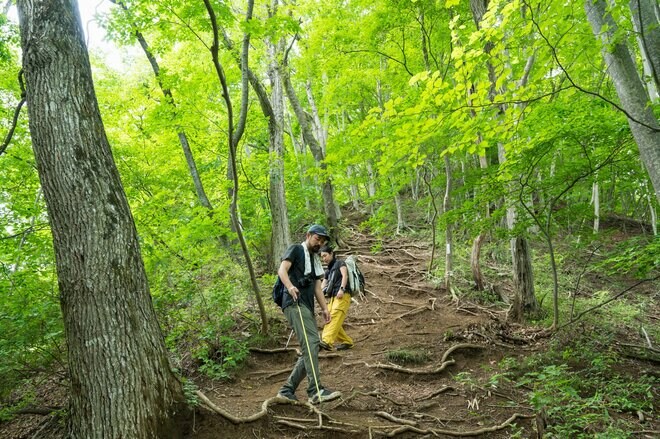 【6月に歩きたい首都圏近郊ハイキングルート】梅雨時の覚えておきたい新宿から1時間半の名低山「高川山」の画像008